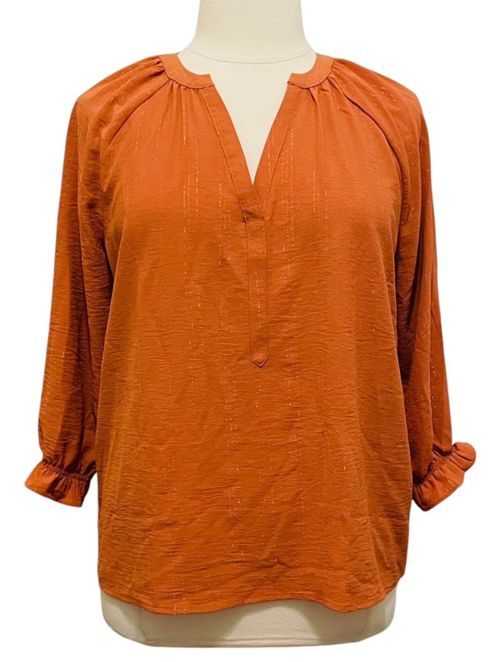 Cordon Blu V-Neck Long Sleeve Women's Top G/ L